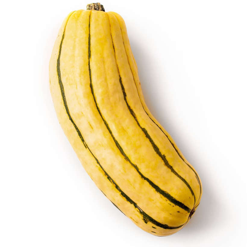 Delicata Winter Squash Heirloom