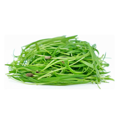 Fennel — Microgreen Seeds
