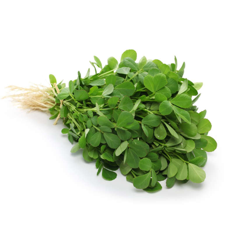 Fenugrec écologique