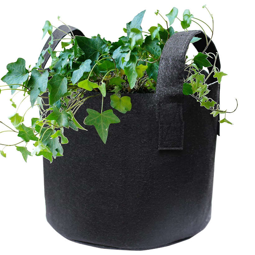 Pot à plantes en tissu de 1 gallon avec poignées