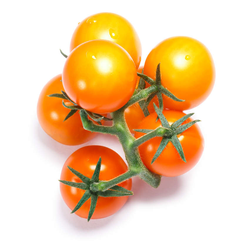Tomate Gold Nugget Ancestrale