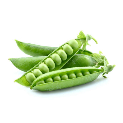 Green Arrow Heirloom Shelling Pea