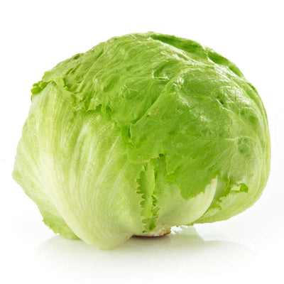 Iceberg Lettuce Heirloom