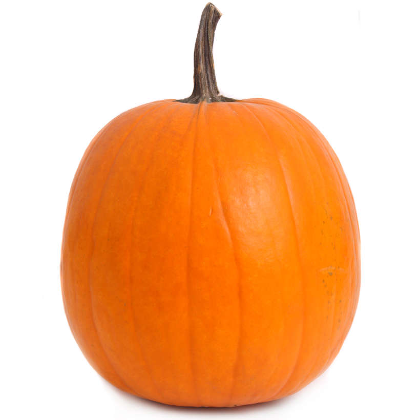 Citrouille jack o' lantern ancestrale