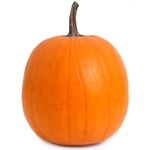 Load image into Gallery viewer, Citrouille Jack O' Lantern Ancestrale
