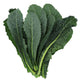 Ecological Lacinato Kale (Cavolo Nero)