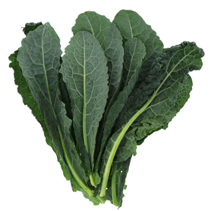 Lacinato kale (cavolo nero)