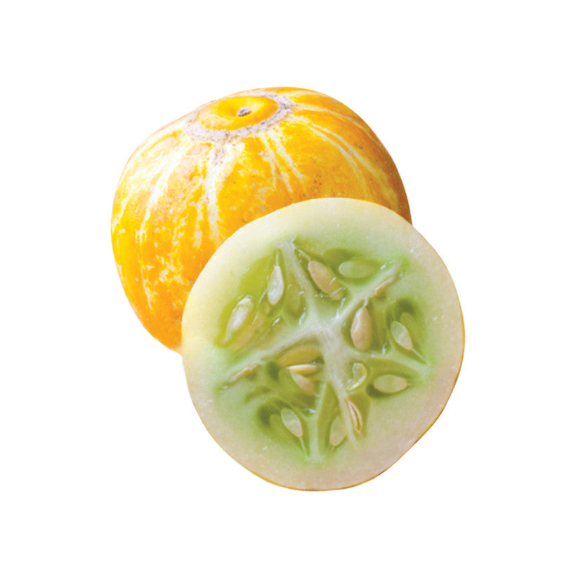 Lemon Cucumber Heirloom