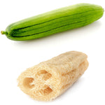 Load image into Gallery viewer, Heirloom Loofah Gourd
