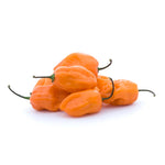 Load image into Gallery viewer, Piment Fort Habanero Orange Ancestral
