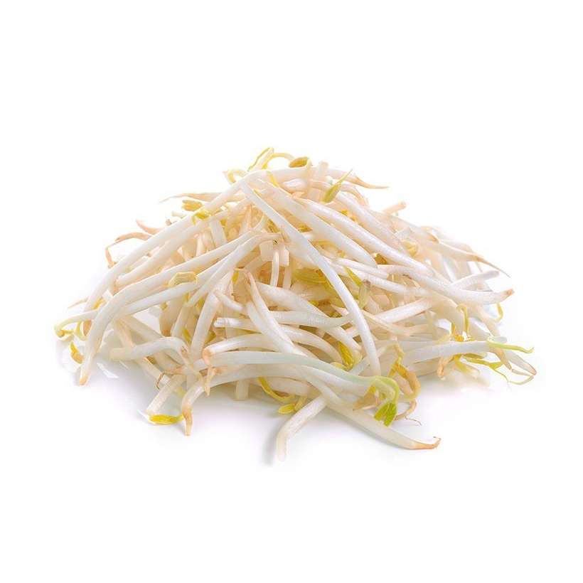 Mung Bean — Sprouting Seeds