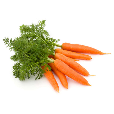Nantes Coreless Heirloom Carrot