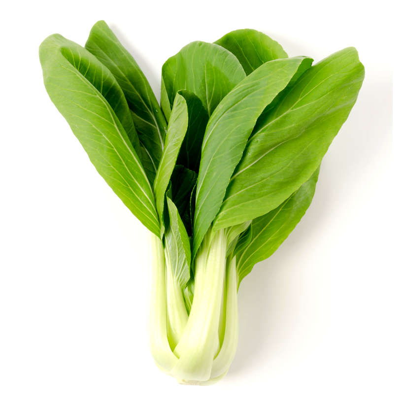 White-Stem Heirloom Pak Choi