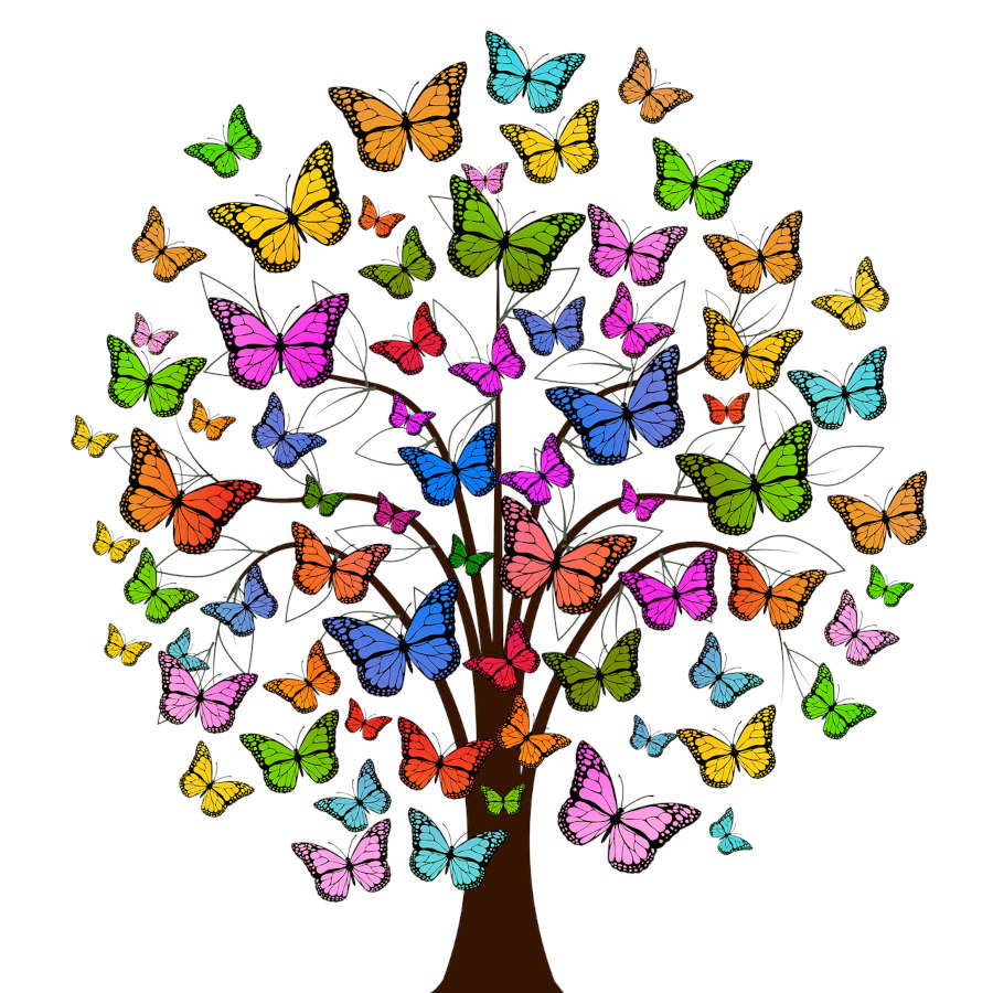 Butterfly Wildflower Mix