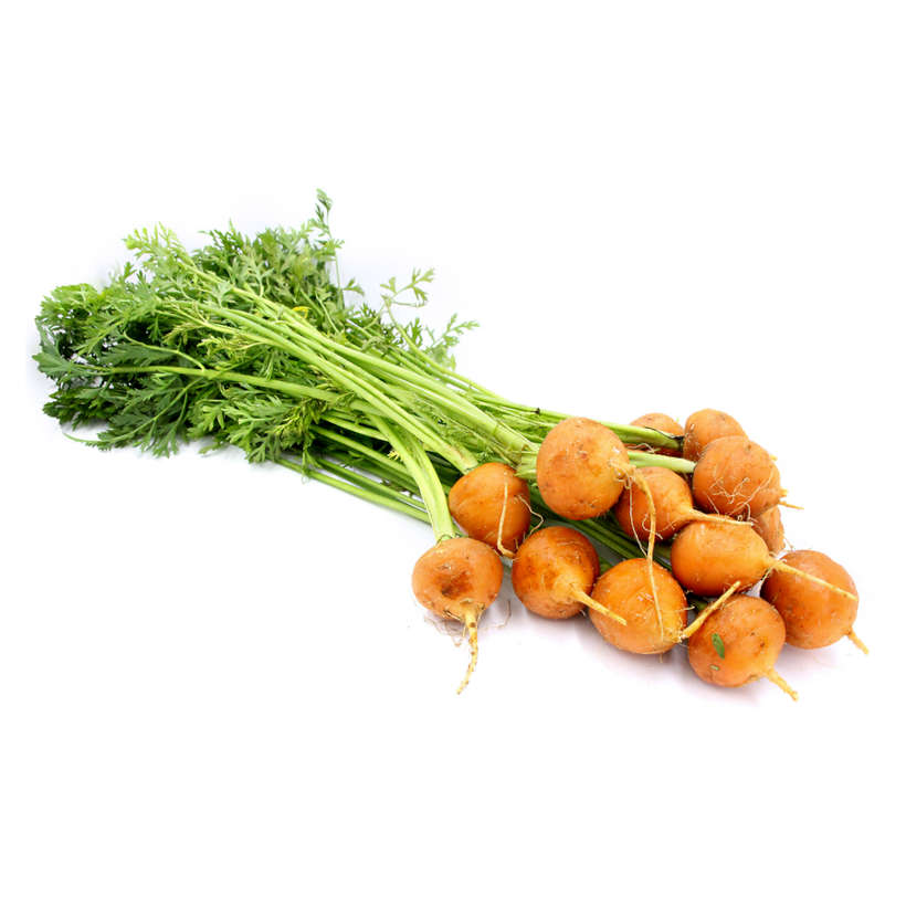Parisian Heirloom Round Carrot