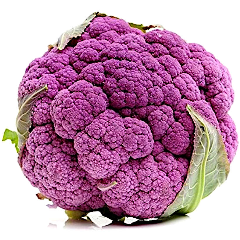 Chou-Fleur Di Sicilia Violetto Ancestral