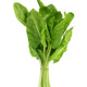 Perpetual Spinach Chard Heirloom