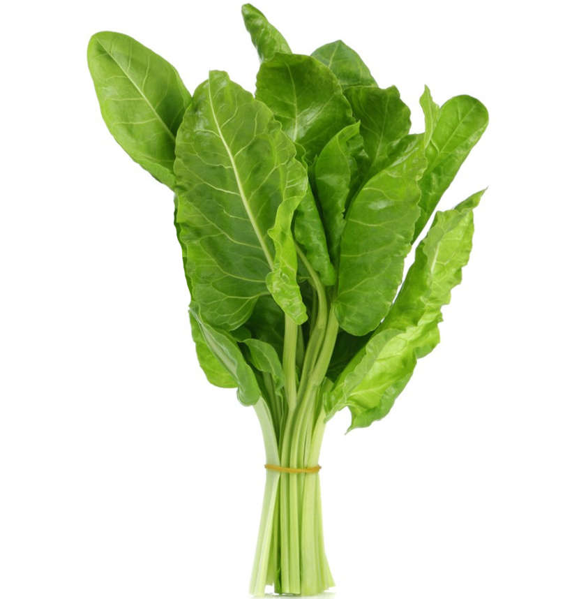 Perpetual spinach chard heirloom