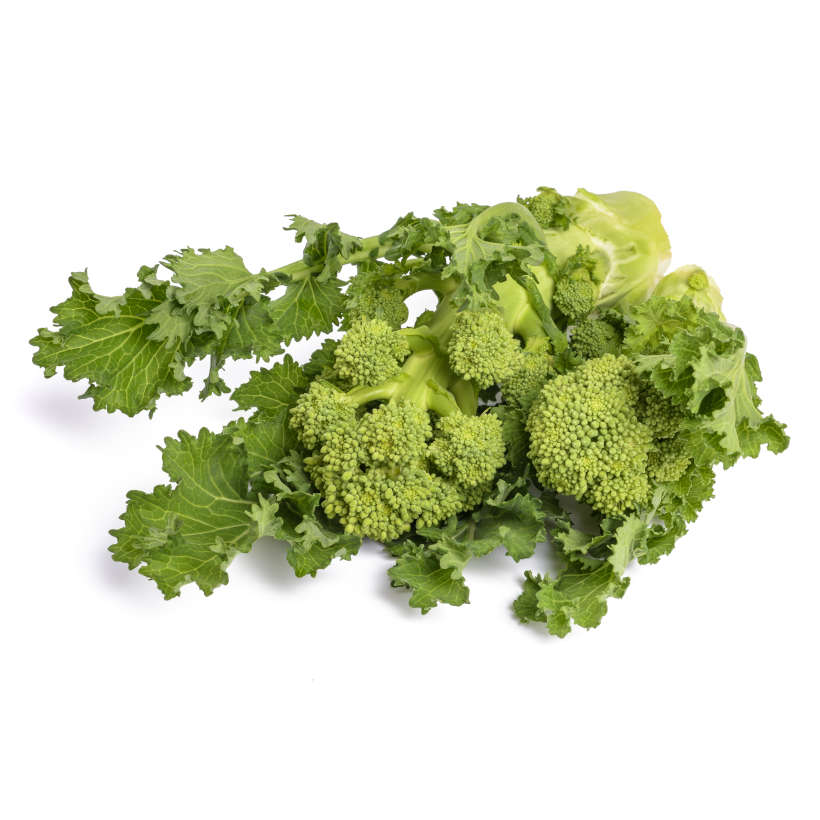 Broccoli rabe (rapini) heirloom