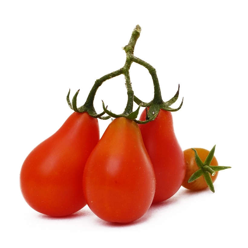 Tomate poire rouge écologique