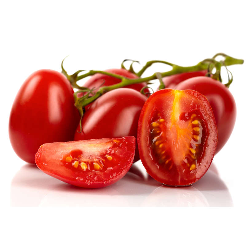 Tomate roma vf ancestrale