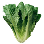 Load image into Gallery viewer, Parris Island Cos Romaine Lettuce Heirloom

