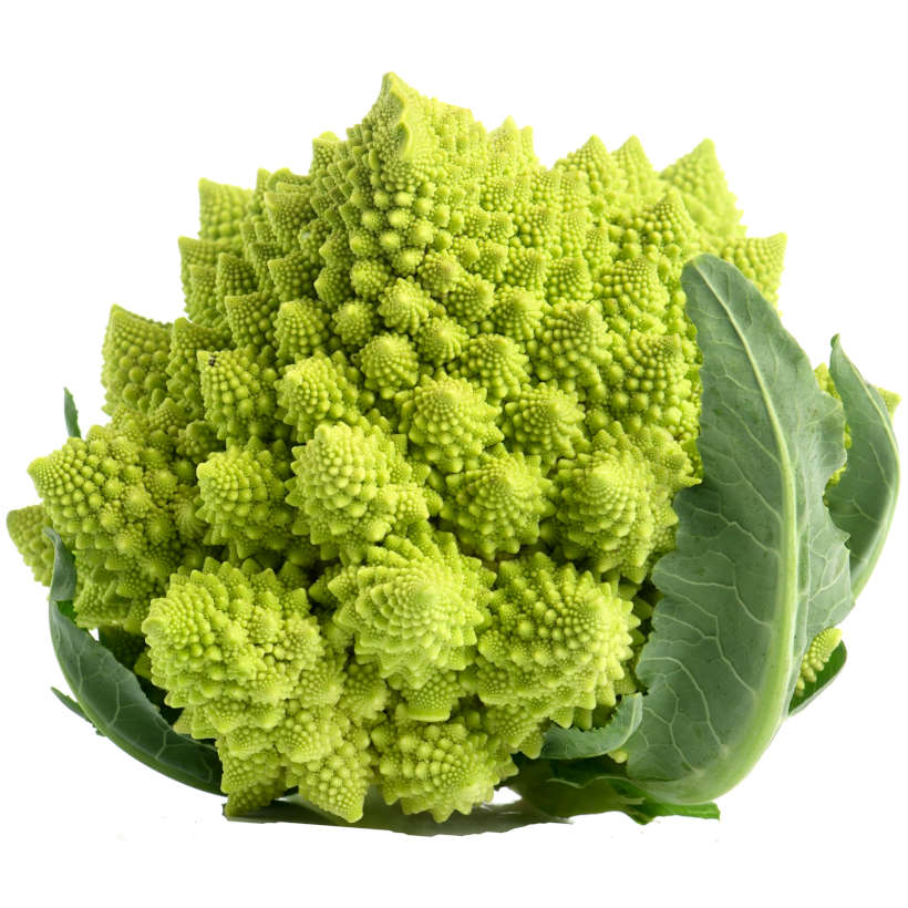 Romanesco cauliflower heirloom