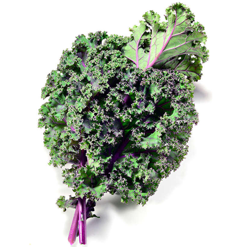 Red russian kale