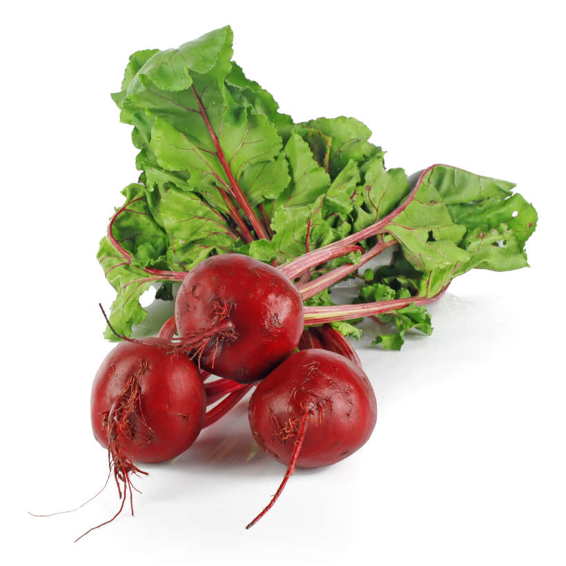 Bull's blood beet
