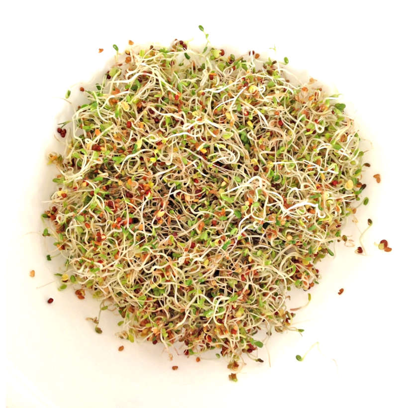 Sandwich sprouting mix