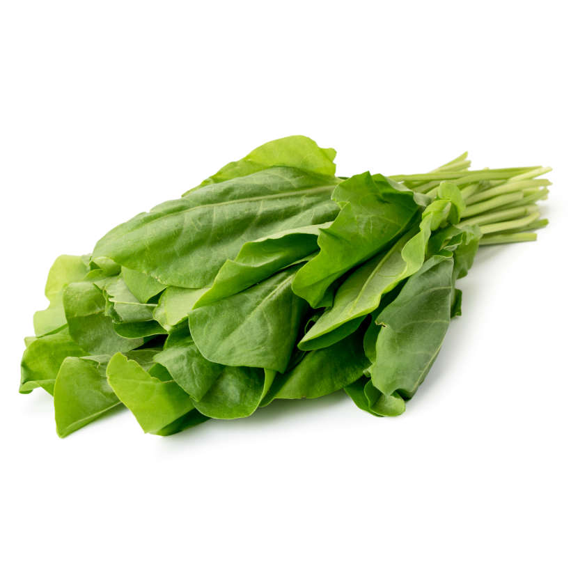 Heirloom sorrel