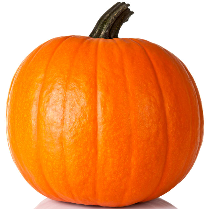 Sugar pie pumpkin heirloom
