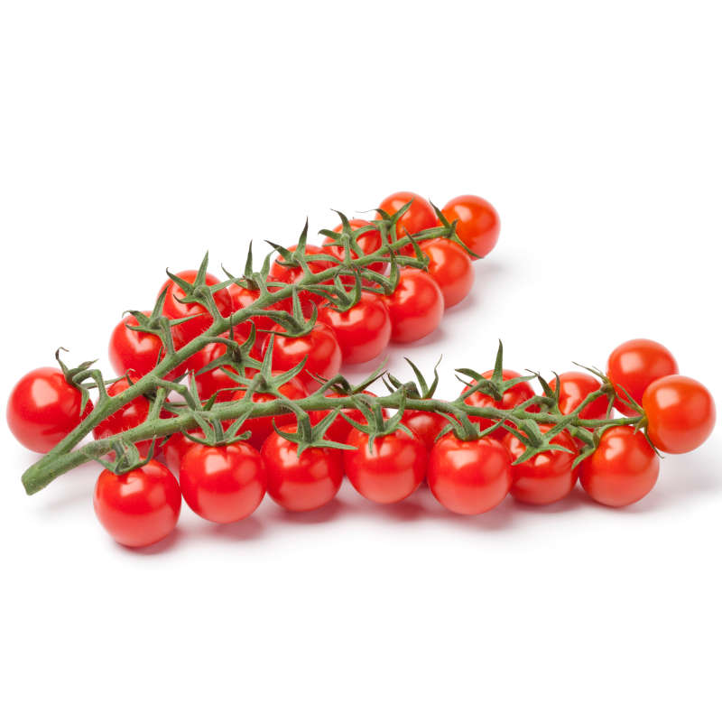 Tomate cerise sweetie écologique