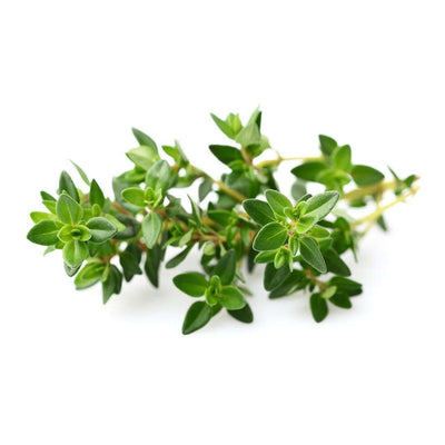 Thyme