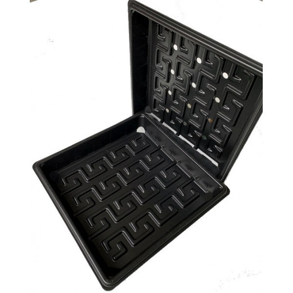 Microgreen trays — 10 × 10 in