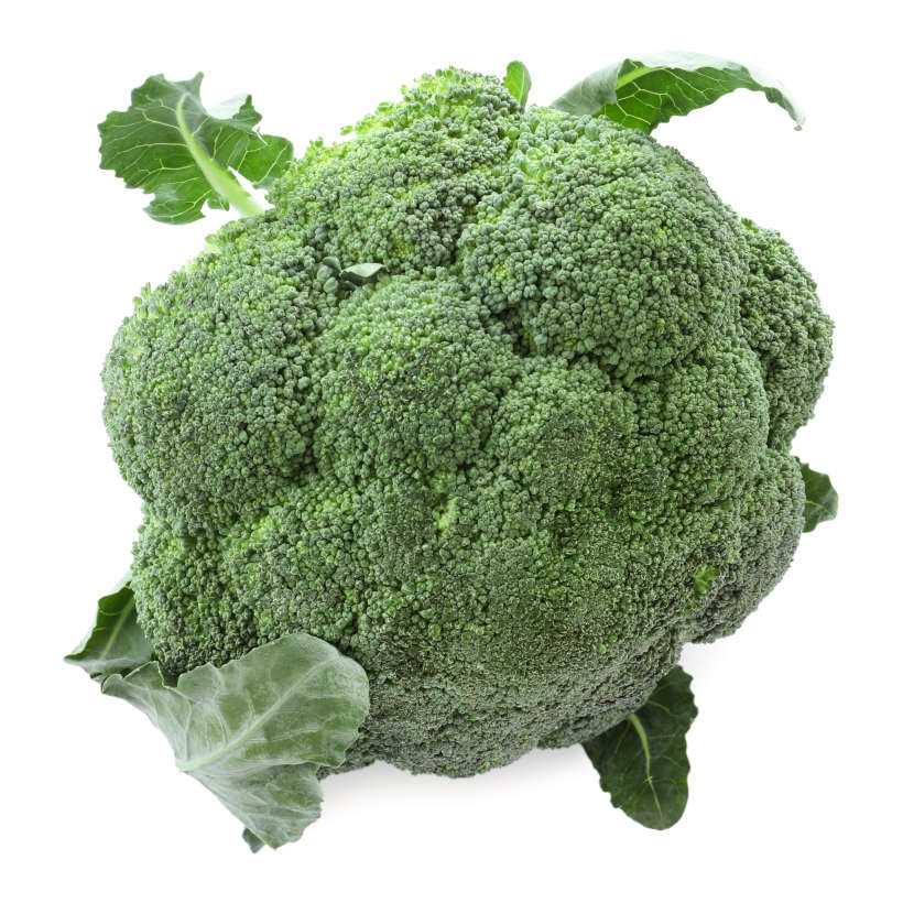 Waltham 29 Broccoli