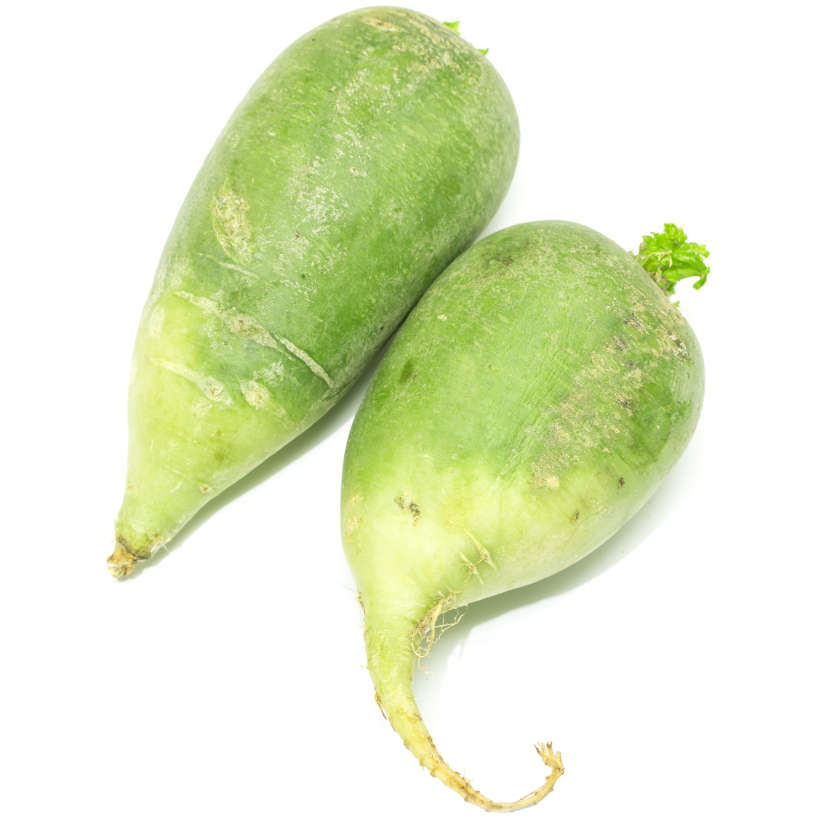 Radis wasabi ancestral